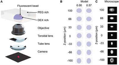 Stigmatic Microscopy Enables Low-Cost, 3D, Microscale Particle Imaging Velocimetry in Rehydrating Aqueous Two-Phase Systems